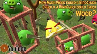 YTP - How Much Wood Could a BirdChuck Chuck if a BirdChuck Could Chuck Wood?