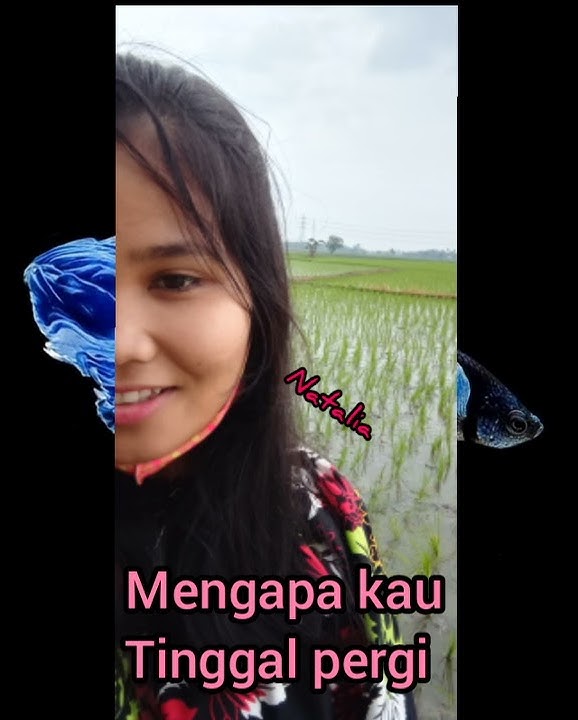 Story' wa 'emas hantaran'