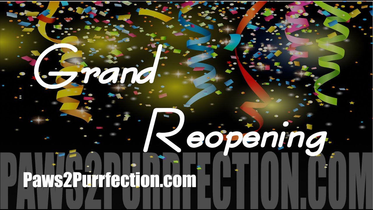 Paws 2 Purrfection Promotions, Grand Reopening YouTube