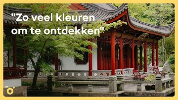 Verken de CHINESE TUIN van HORTUS BOTANICUS | Pinned