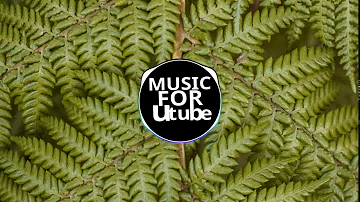 Dua Lipa - IDGAF Trap Remix | MUSIC FOR UTUBE