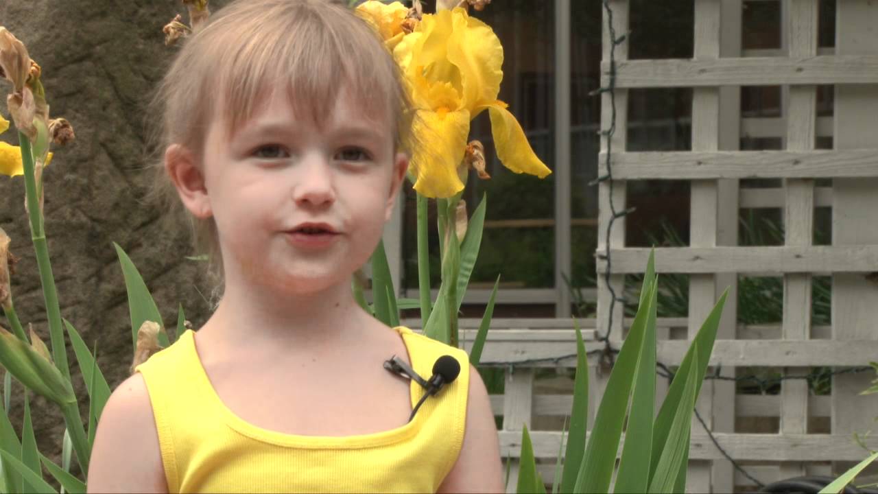 "Love is patient; love is kind" YouTube