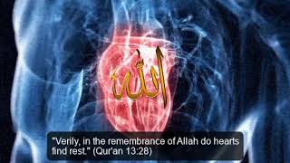 Zikr ALLAH  | Listen & Feel Relax - Best for Sleeping |Depression | Mediation | Heart Cleanser screenshot 4