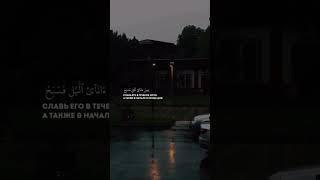 Аллах выбрал тебя поэтому слушайся #nasaadventures @SajdaAppOfficial @hudaru