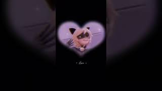 ufffc Mirachat ufffc coreud83dudd25