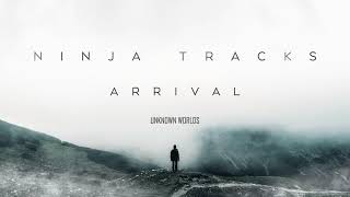 Ninja Tracks - Unknown Worlds