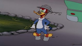 Woody gets muddy! | Woody Woodpecker