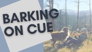 How to Teach Your Dog to Bark On Cue (with Stimulus Control)