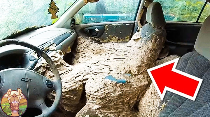 Ces Nids Énormes Prendront Votre Place !