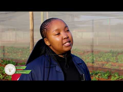 Empowering Agripreneurs: Building