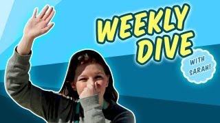 Weekly Dive: Sea Bird Preservation and Tidepool Apps