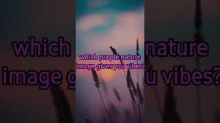 Which Purple Nature Image Gives You Vibes? 