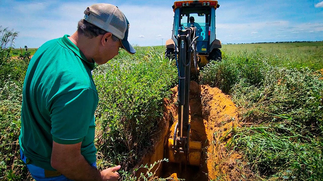 estilosantes-campo-grande-veja-a-surpreendente-profundidade-da-raiz-em