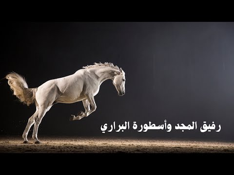 الحصان حين يتكلم الصهيل تنصت الأرض ظل من الريح وحلم بأربع حوافر