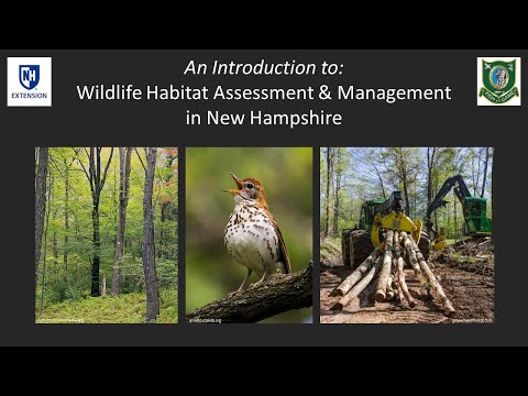 Intro to Wildlife Habitat Assessment & Management