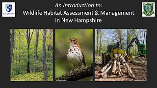 Intro to Wildlife Habitat Assessment & Management