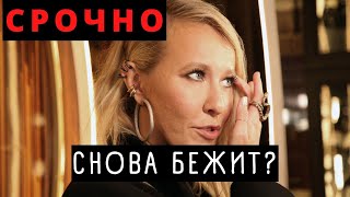 Все Ахнули! Почему Затравленная Ксения Собчак Спешно Избавляется От Имущества В Центре Москвы