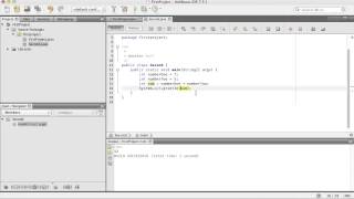 Celebrity Programmering 1 i Java: 03 - Variabler Profile