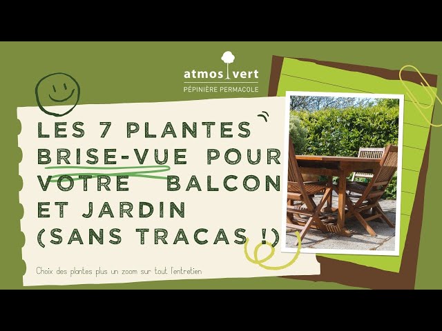 Les 6 meilleures plantes brise-vue - Gamm vert