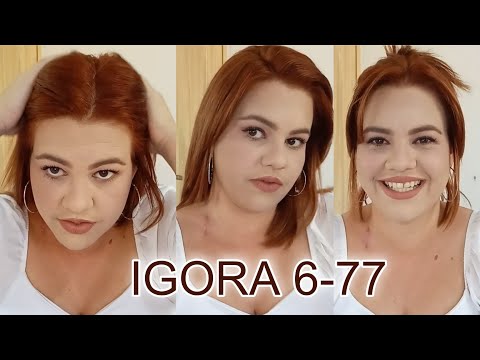 Testei a IGORA 6-77 + desbotamento IGORA 7-77 