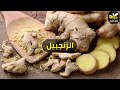 أهم طريقة استخدام العسل والزنجبيل لعلاج سرعة القذف