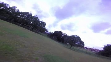 ZMR250 Mini Quad: Maiden Flight (GoPro Hero)