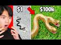 $1 Snake vs $100,000 SNAKE