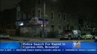 Celebrity Police Search For Brooklyn Rape Suspect Profile