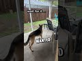 She let her dog out in the thunderstorm… #dog