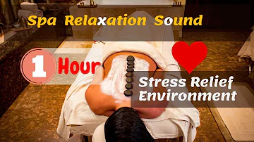 Thai Spa Relaxing Zen Music with Water Sounds • Peaceful Nature Observe, Yoga, and Relaxation