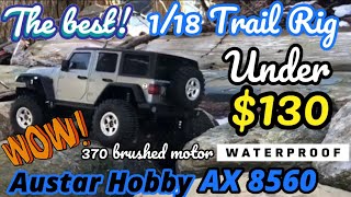 Reviewed and Driven: Austar Hobby AX-8560 1/18 4x4 trail Rig. Is it a poor mans TRX4-M ?