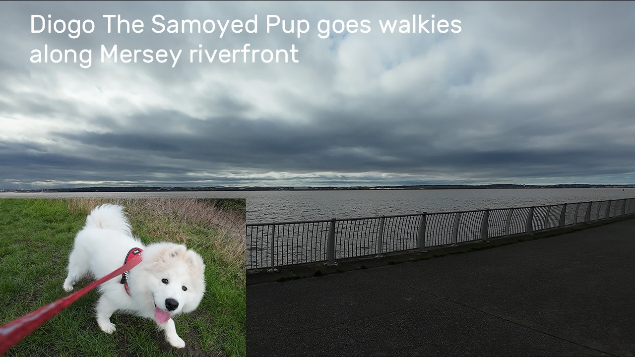 Diogo Walkies Otterspool HD