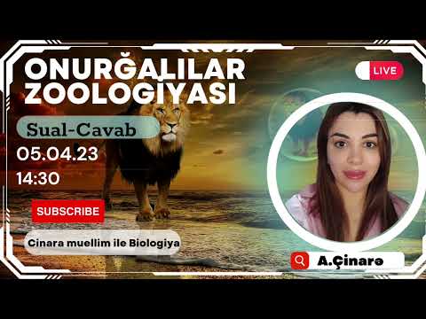 Video: Onurğalılar artropodlardan təkamül edib?