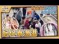 【漁港走透透】#64 高雄梓官蚵仔寮漁港及魚貨拍賣實況|Fishing Port &amp; Seafood | EP_159