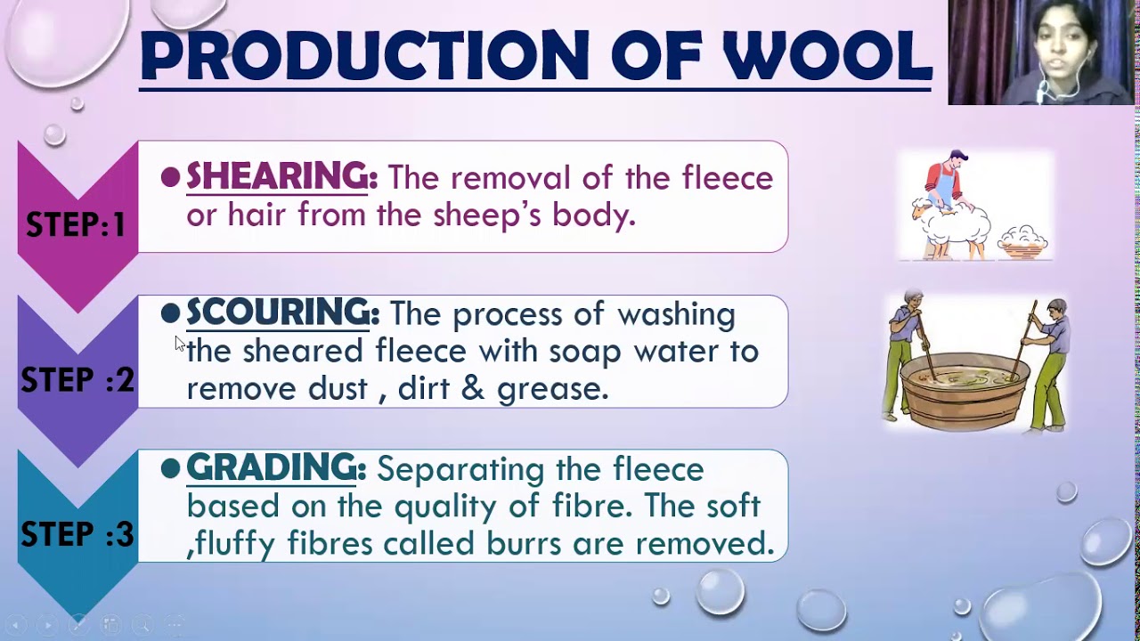 Science LP 7 Animal Fibres