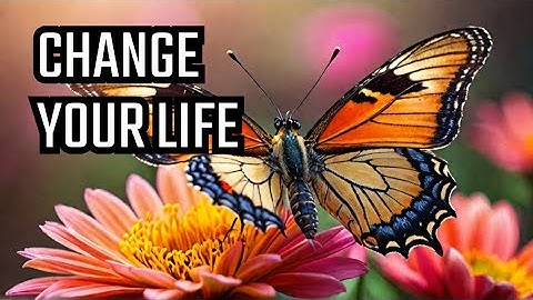 The Butterfly Effect: Small Actions, Big Changes