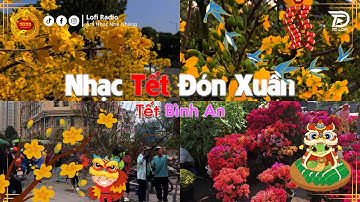 𝐏𝐥𝐚𝐲𝐥𝐢𝐬𝐭 Nhạc Tết Đón Xuân KHÔNG QUẢNG CÁO ♬ Chào Một Năm Mới Bình An - Nhạc Xuân Đón Tết Ất Tỵ 2025
