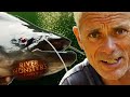 Catching The Malaysian Lake Monster! | River Monsters