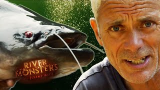 Catching The Malaysian Lake Monster River Monsters