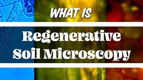 Regenerative Soil Microscopy - What Is It?