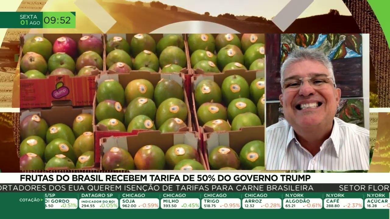 Frutas do Brasil recebem tarifa de 50% do governo Trump