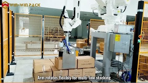 WIN-WIN PACK Robotic Palletizer Operation – Precise and Efficient Carton Stacking #palletizer