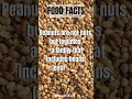 Peanuts Facts 🥔🥔🥔#shorts