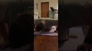 Cat Helping Owner While Doing Pushups