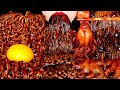 ASMR BLACK BEAN ENOKI MUSHROOMS BABY OCTOPUS TRUFFLE BLACK BEAN NOODLES 짜장불닭팽이버섯 트러플짜파게티 먹방 MUKBANG