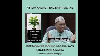 Petua Tercekik Tulang