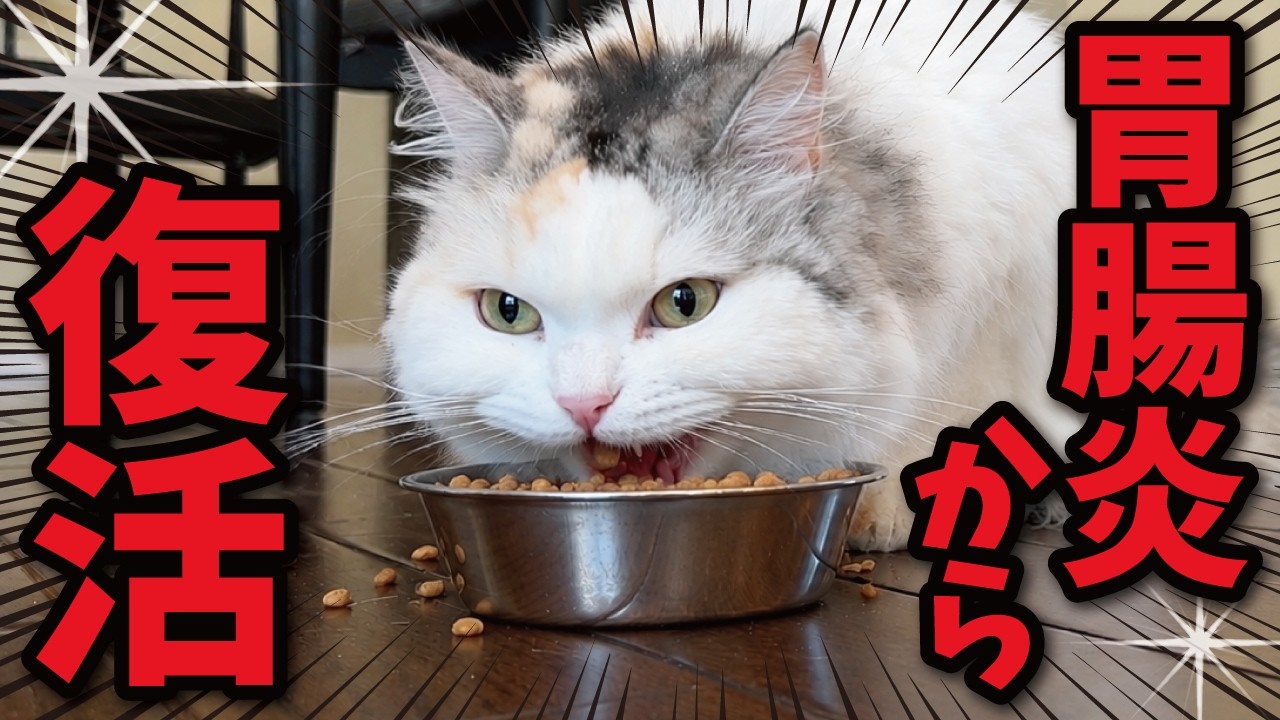 I'm so sorry for causing you so much worry! Tsukushi has made a