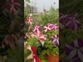 #sadstatus #sadsong #sadpoetry #sad_status #viralvideo #viralshorts #viral