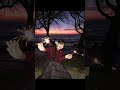 Catching the Ultimate Sunset: Missed It? Don't Worry, We've Got You Covered! SunsetMagic
