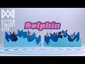 Oh my girldolphin  special clip   